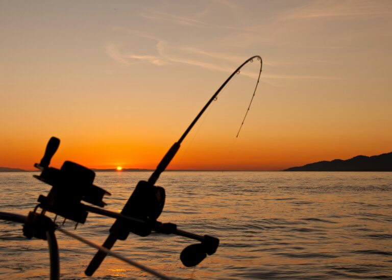 Exploring the Serenity of Fishing: An Age-Old Water Pursuit