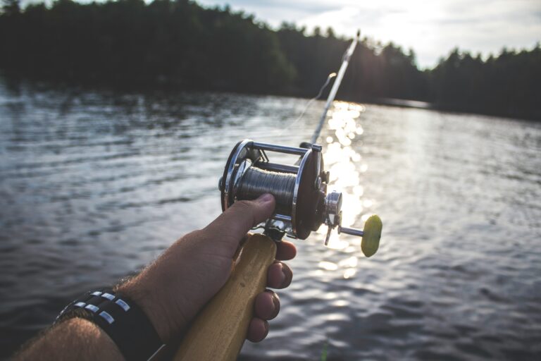 Mastering the Art of Fishing: A Guide to Fishing in Water Games