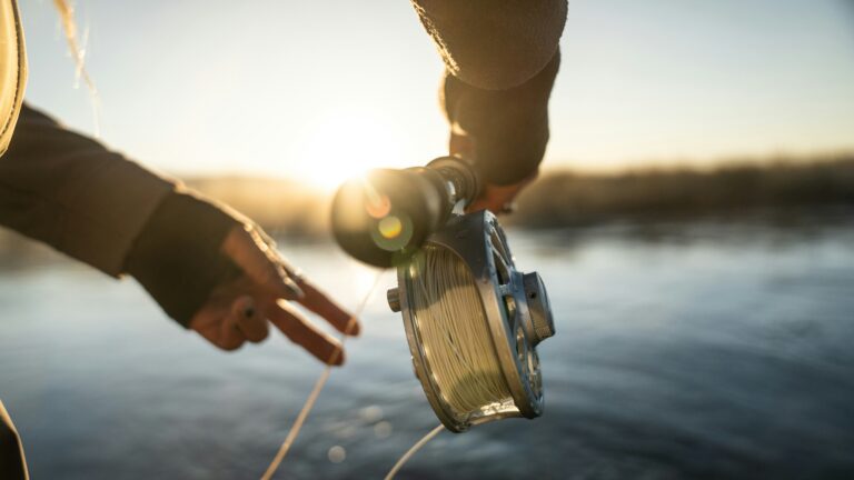 Hooked on the Digital Waters: The Rise of Fishing in Water Games